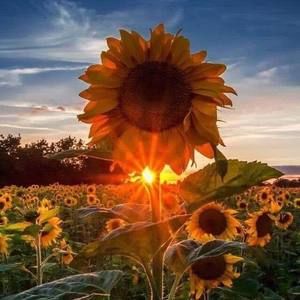 Meet your Posher, Deb